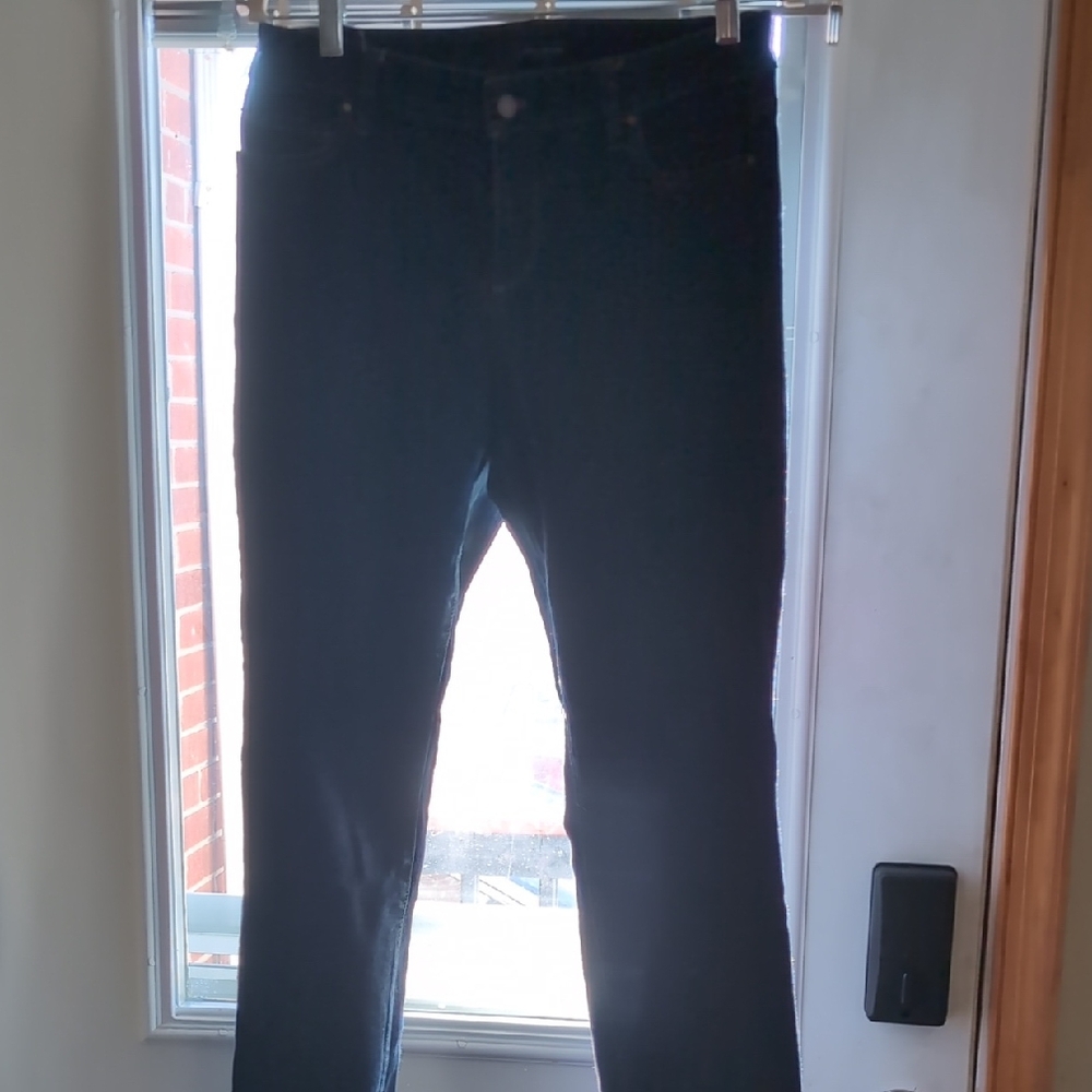 Ann Taylor Dark Indigo Jeans